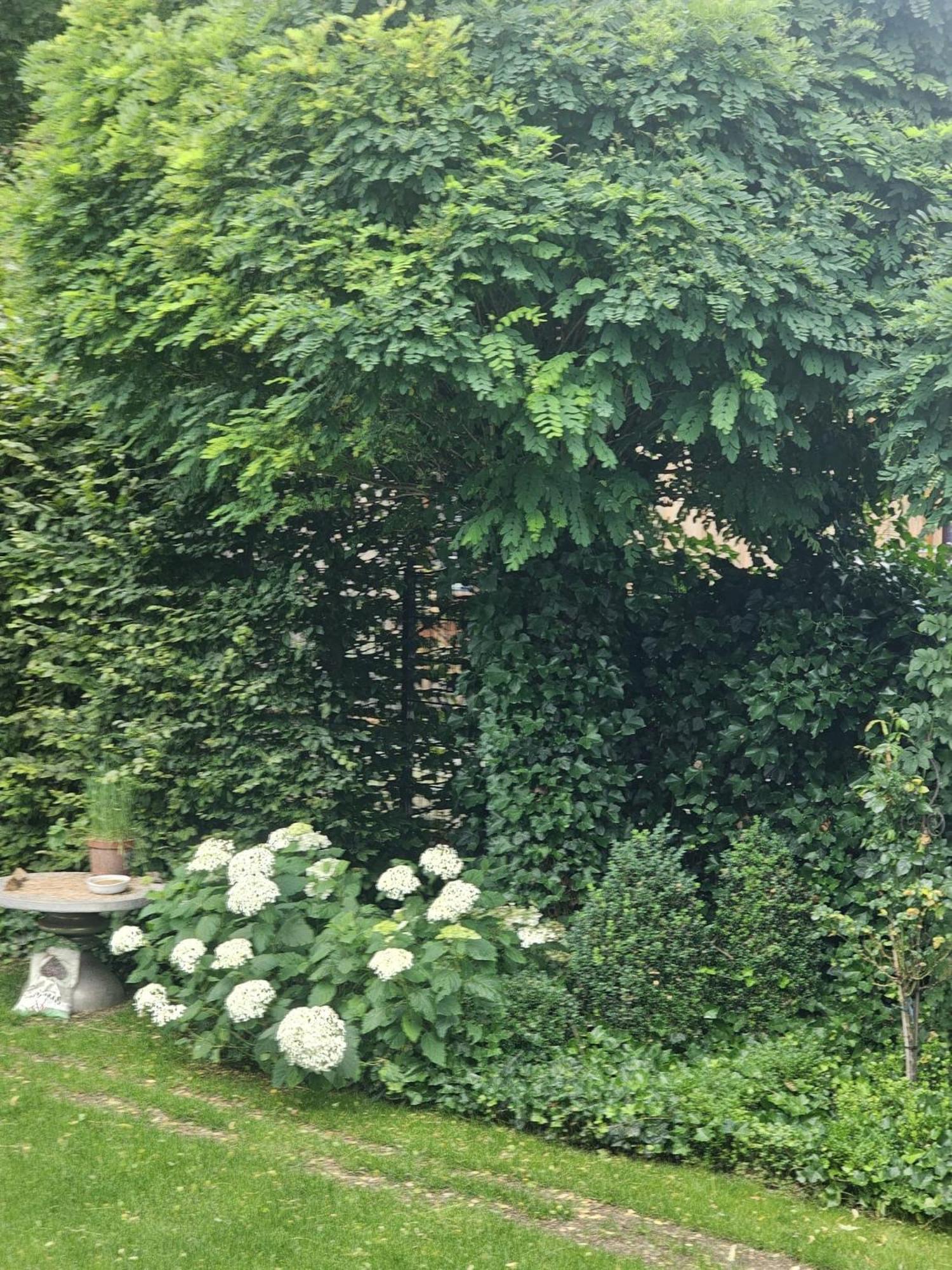 Gemuetliche Wohnung Mit Sauna Ноймаркт  Экстерьер фото
